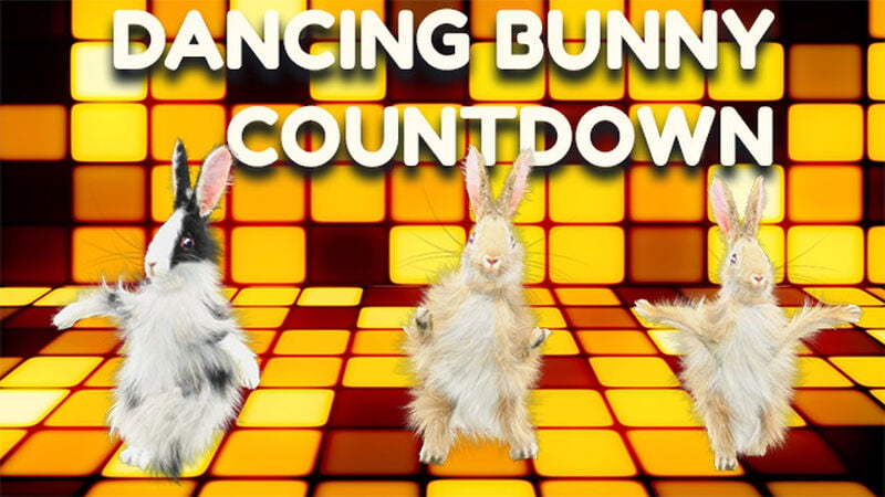 Dancing Bunny Countdown